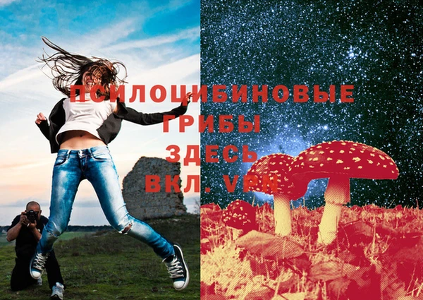 метадон Козельск