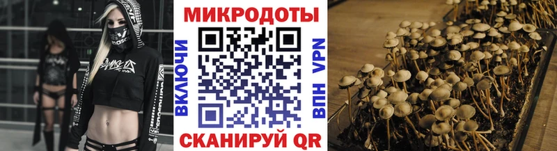 Купить  Миасс  Псилоцибиновые грибы ЛСД 